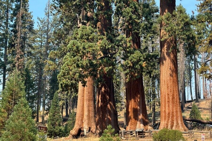 San Francisco to Kings Canyon and Yosemite 2 Day Tour