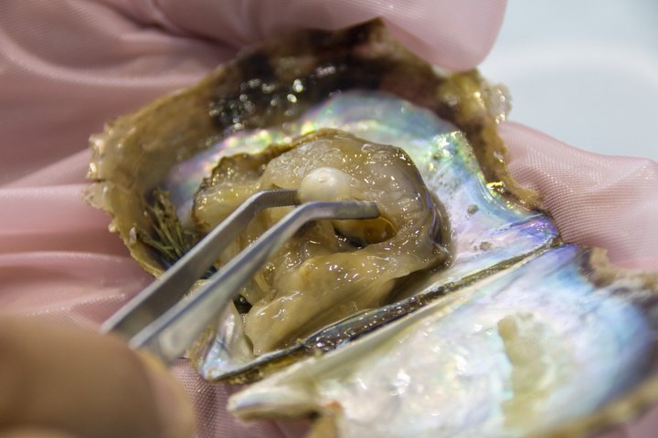 Mie: Mikimoto Pearl Island and the Birth of Cultured Pearls