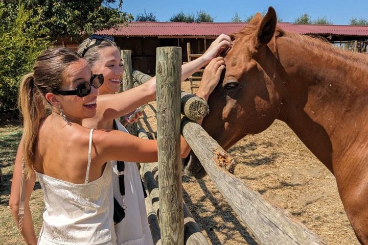 Tuscany Horseback Riding and Winery Tour with Lunch