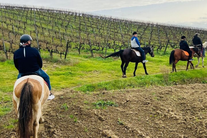 Tuscany Horseback Riding and Winery Tour with Lunch