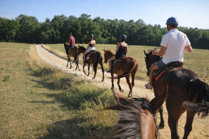 Tuscany Horseback Riding and Winery Tour with Lunch