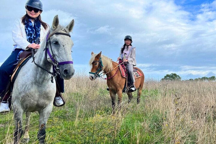 Tuscany Horseback Riding and Winery Tour with Lunch