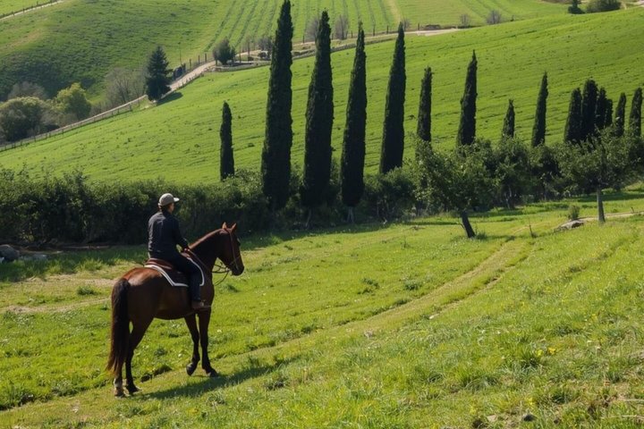 Tuscany Horseback Riding and Winery Tour with Lunch