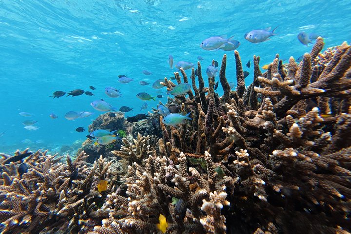 Exclusive Private Experience: 5 Secret Gili Islands