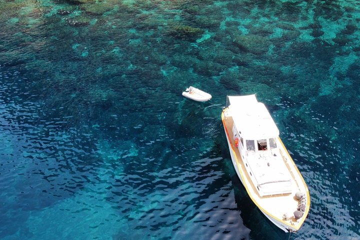 Jost Private Aeolian Cruise As seen on Vogue