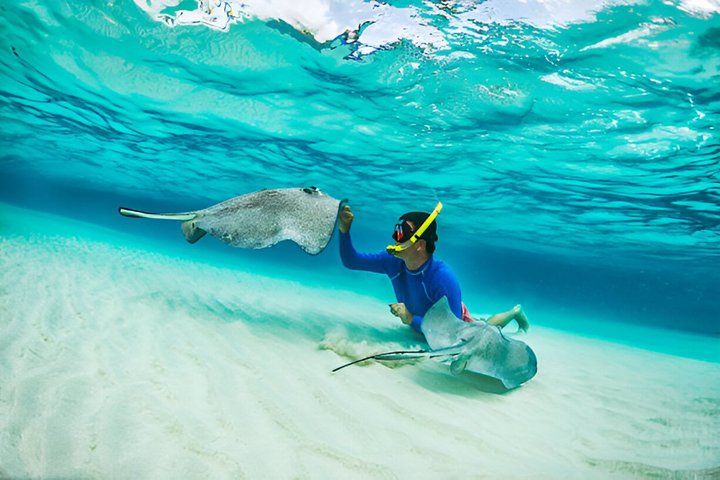 (Family owned) Stingray city sandbar, Starfish Beach & Snorkeling