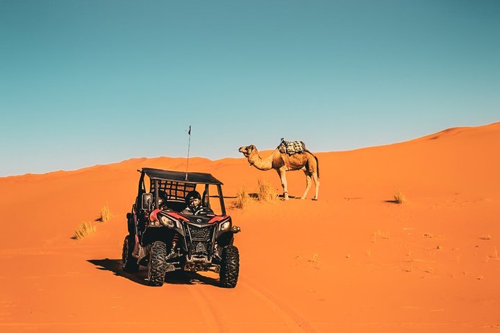 2 Hour Merzouga Buggy Adventure in the Sahara Dunes