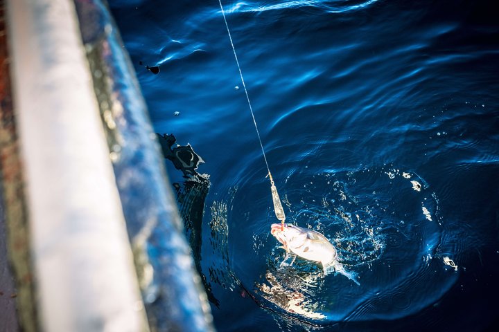 Fishing Trip in Alesund