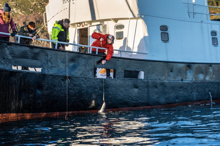 Fishing Trip in Alesund