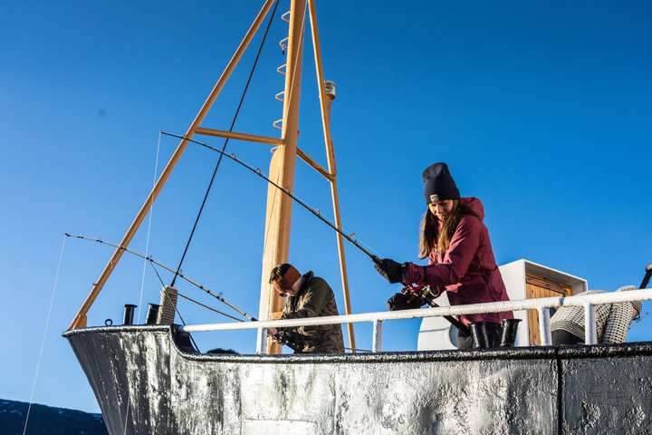 Fishing Trip in Alesund