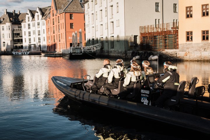 Wildlife Sea Safari in Alesund