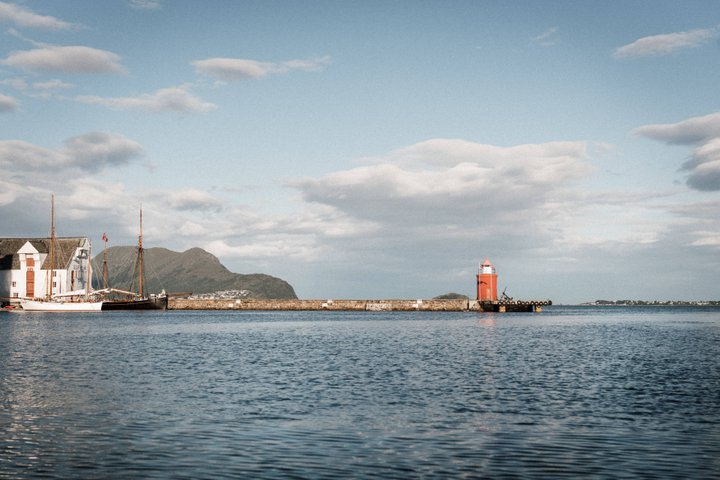 Wildlife Sea Safari in Alesund