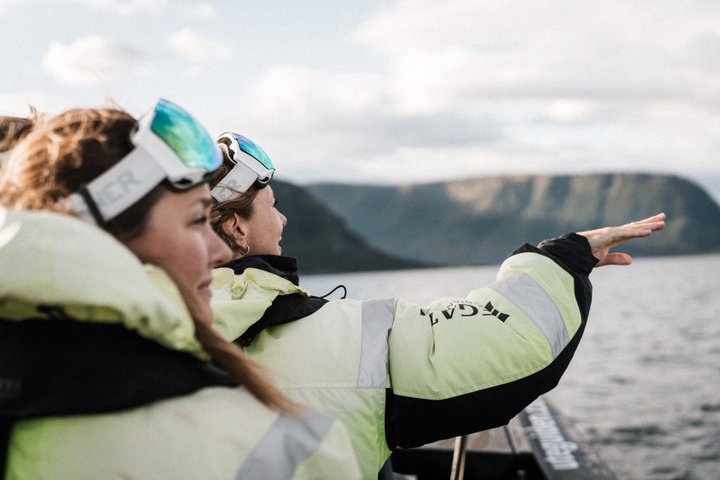 Wildlife Sea Safari in Alesund
