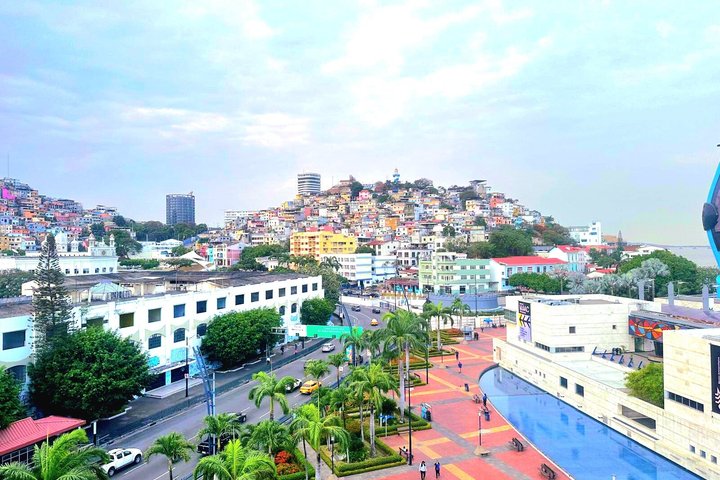 Guayaquil Highlights & Authentic Fine Cocoa Farm Experience