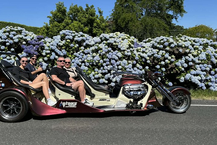 TAURANGA SHORE EXCURSION: Epic 25 min V8 Trike Tour (Tauranga)