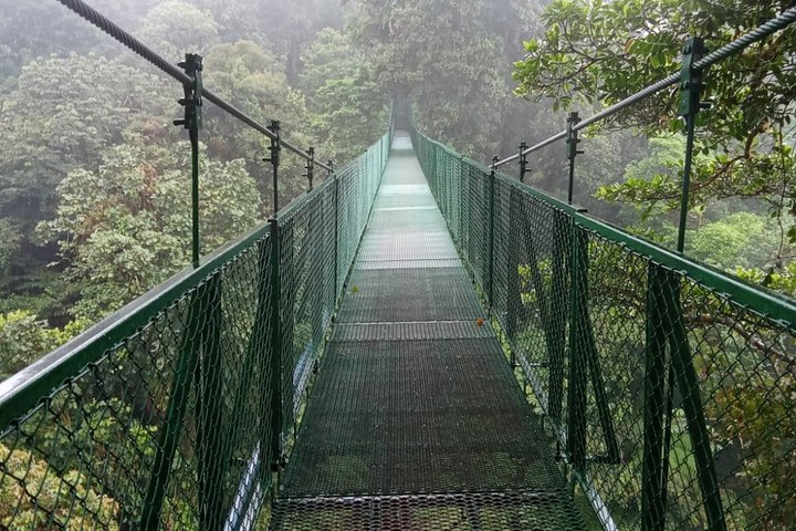 Monteverde Cloud Forest Hanging Bridges Guided Walk
