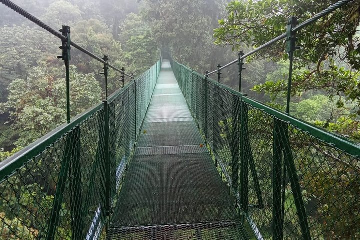 Monteverde Cloud Forest Hanging Bridges Guided Walk