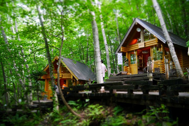 [Late Departure] Biei Best 5 Must-Visit Day Tour from Sapporo