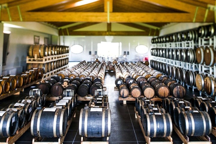 Modena Balsamic Vinegar Tour with Parmigiano and Gelato Tasting
