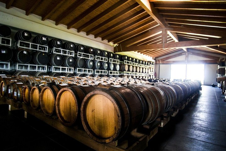 Modena Balsamic Vinegar Tour with Parmigiano and Gelato Tasting