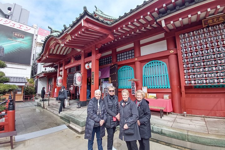 Best of Tokyo Private Tour from Yokohama & Tokyo Ports or Hotels