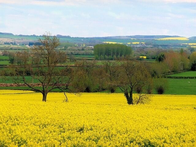 Cotswolds Road Trip Guidebook: Bourton, Bibury & Blenheim Palace