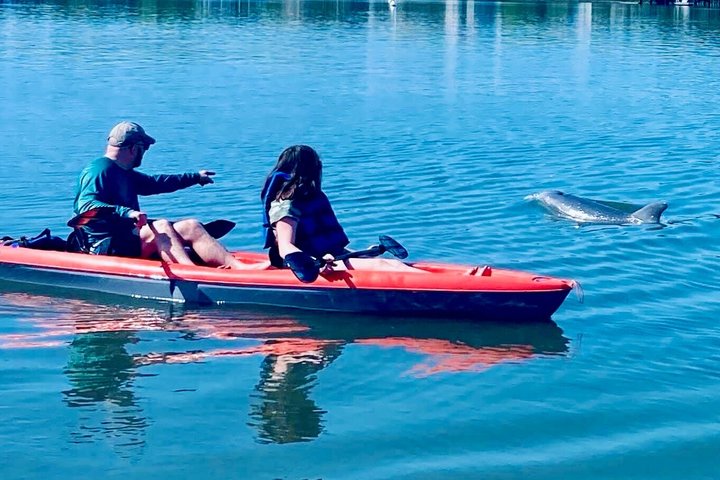 Daytona Beach Dolphin & Manatee Kayak Wildlife Adventure