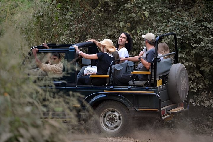 Ranthambore Safari Booking
