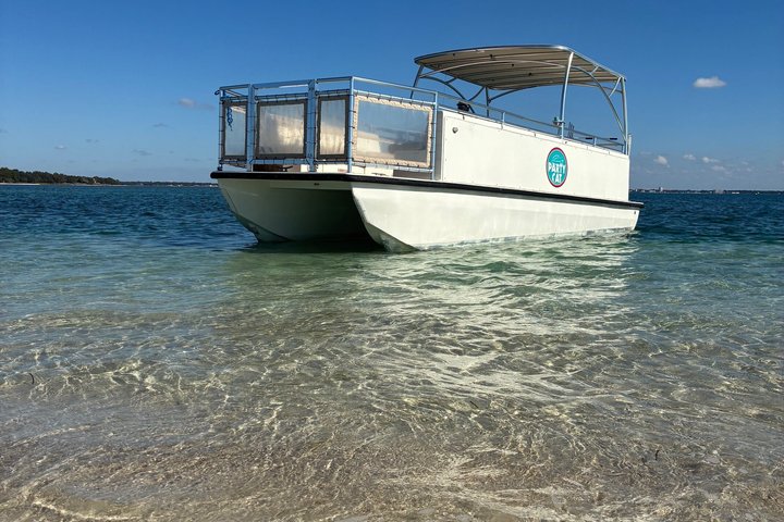 Shell Island Snorkel And Dolphin Sightseeing