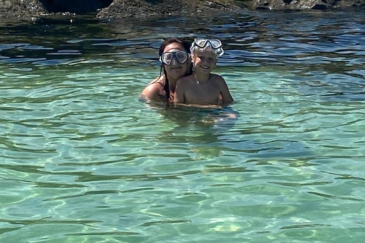 Shell Island Snorkel And Dolphin Sightseeing