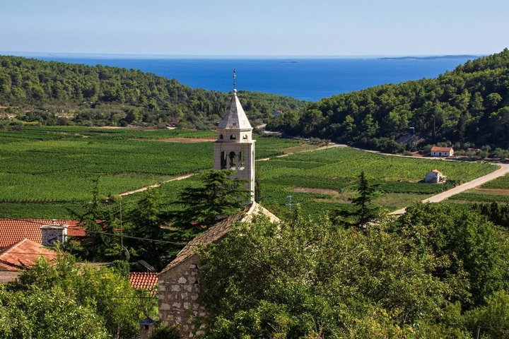 Korcula Wine Tour Tasting Local Varieties with Traditional Bites