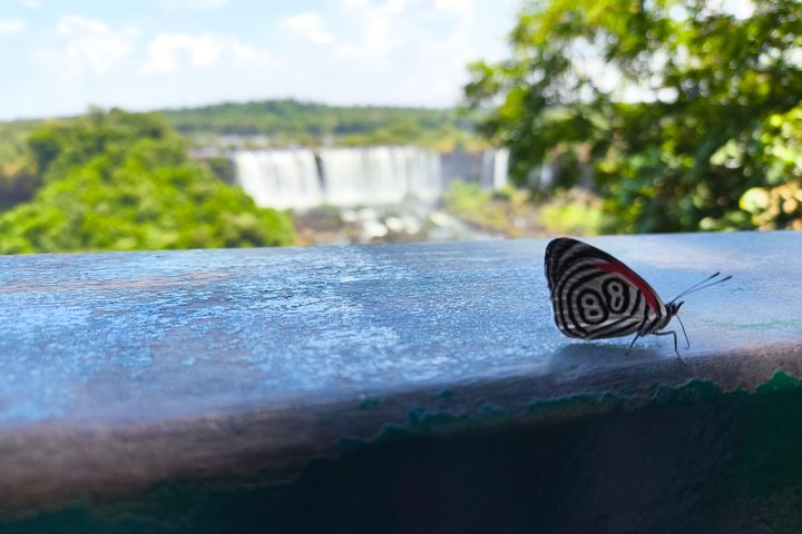 Private Iguazu Falls Tour: Brazil & Argentina in one VIP Day