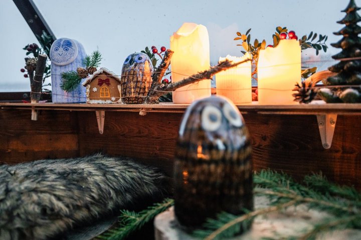 Arctic Magic: Santa's Village, Snowmobiling & Glass Igloo Lunch