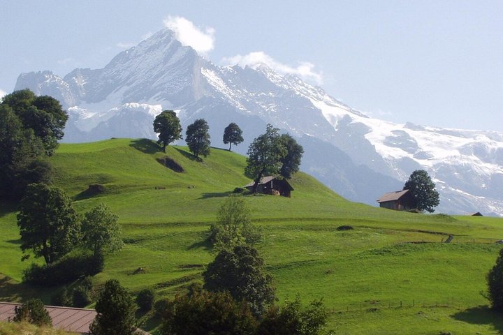 From Interlaken: Private Grindelwald and Lauterbrunnen Tour