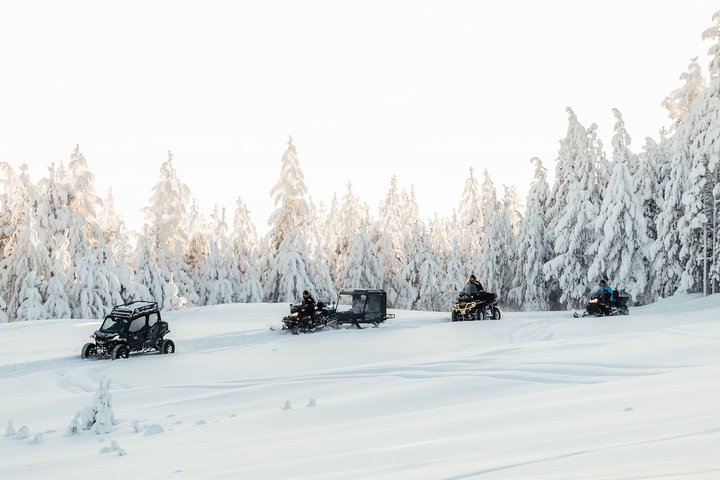 Arctic Magic: Santa's Village, Snowmobiling & Glass Igloo Lunch