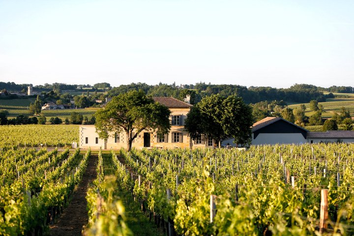 Château Grangey Visit and tasting in the heart of the vineyard