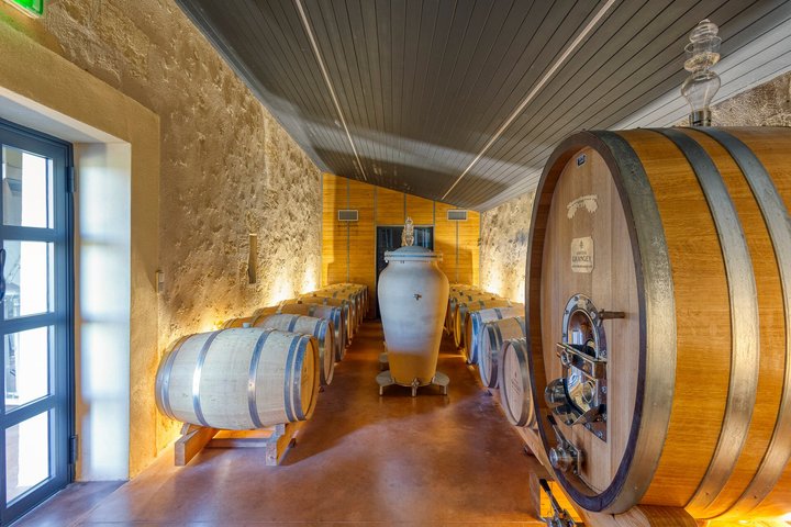 Château Grangey Visit and tasting in the heart of the vineyard