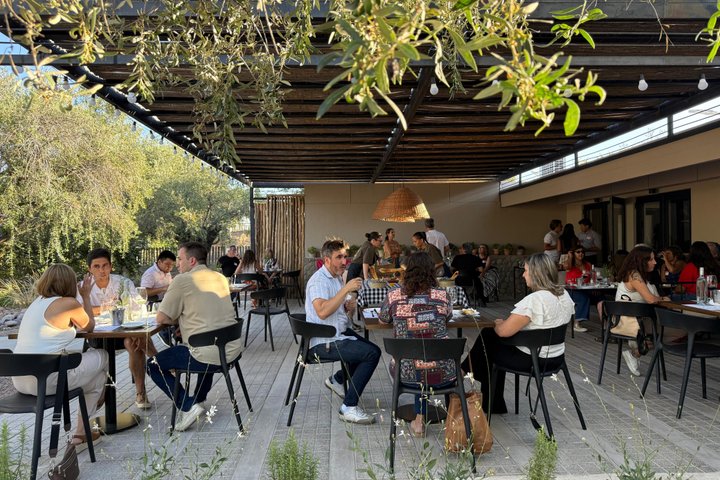 Wine Tour, Paired Lunch and Olive Oil Tasting from Mendoza