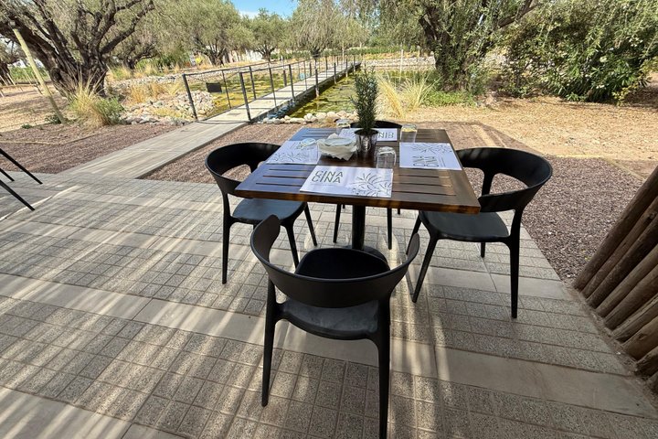 Wine Tour, Paired Lunch and Olive Oil Tasting from Mendoza
