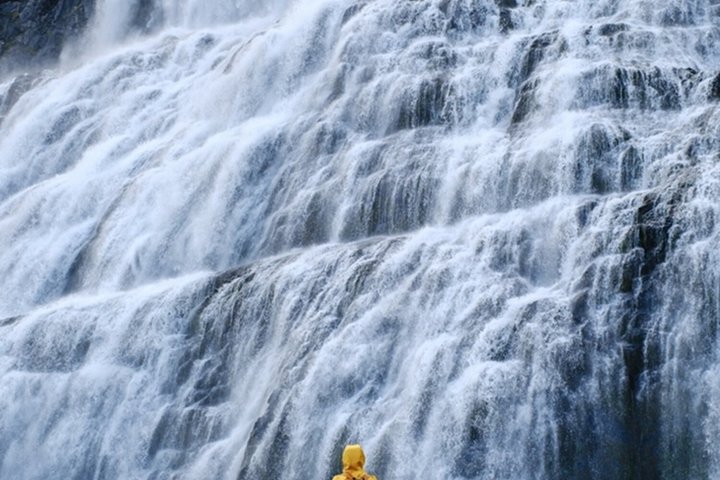 Dynjandi Waterfall and the Oldest Bookstore of Iceland