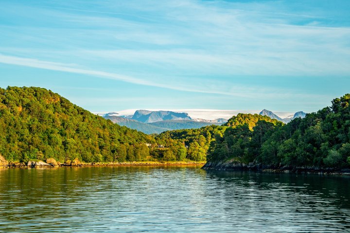 Private Shore Tour: Ulvik Nature Walk & Osa Fjord Viewpoint