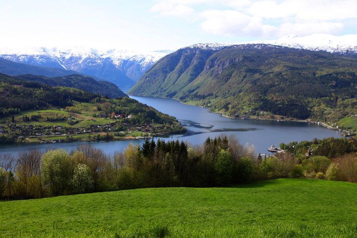 Private Shore Tour: Ulvik Fjord Kayaking & Survival Skills
