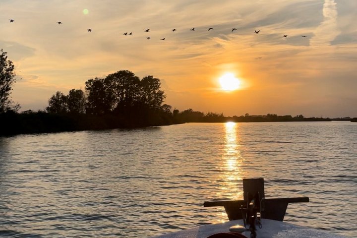 Explore Isola dell’Amore and wildlife on a Po Delta Boat Tour