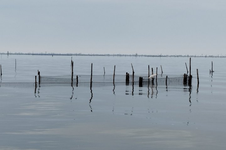 Explore Isola dell’Amore and wildlife on a Po Delta Boat Tour