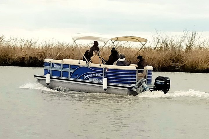 Explore Isola dell’Amore and wildlife on a Po Delta Boat Tour