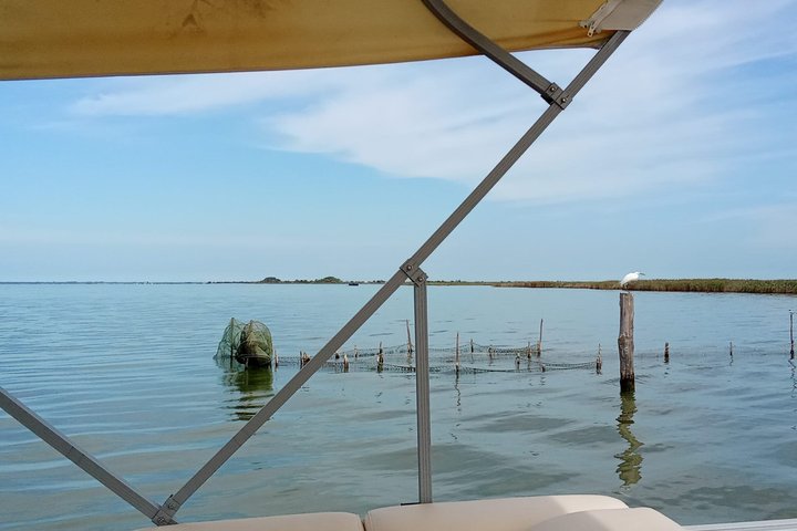 Explore Isola dell’Amore and wildlife on a Po Delta Boat Tour