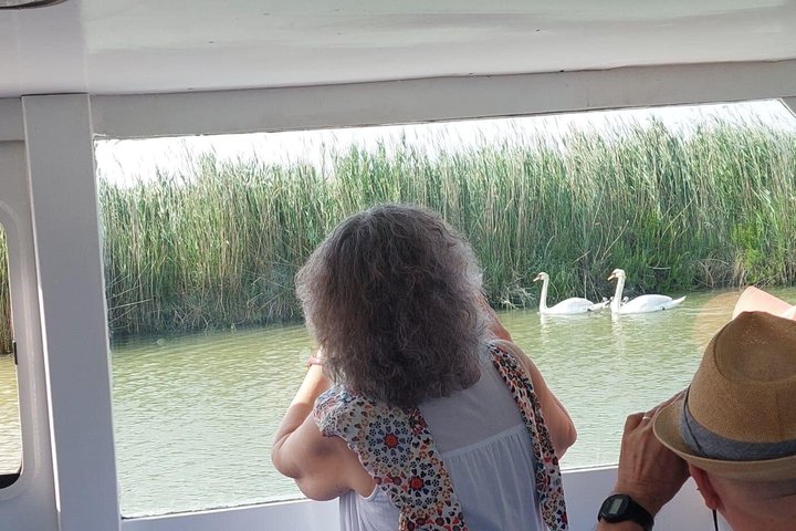Explore Isola dell’Amore and wildlife on a Po Delta Boat Tour