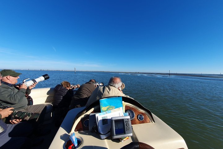 Explore Isola dell’Amore and wildlife on a Po Delta Boat Tour