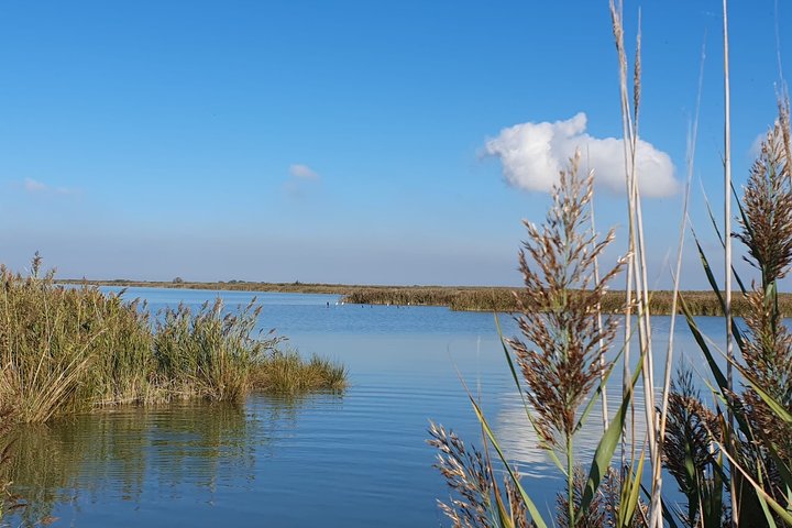 Explore Isola dell’Amore and wildlife on a Po Delta Boat Tour