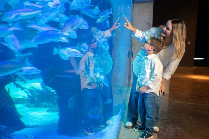 Tickets to the Grand Aquarium Mazatlan